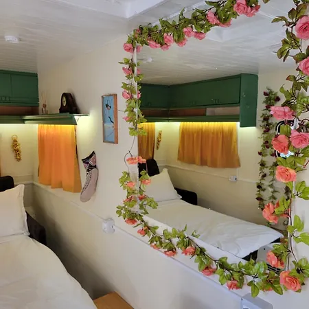 The Bearded Dad Tirana